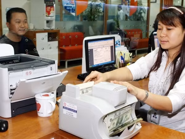 La Banque d’Etat ne modifie plus le taux de change ảnh 1