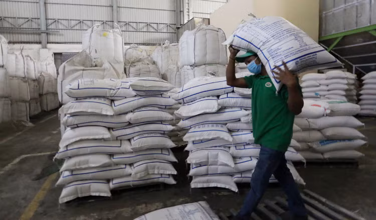 La Chine va importer davantage de riz du Cambodge ảnh 1