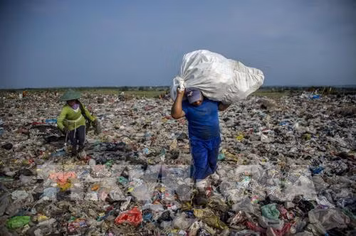 Le secteur de l’aquaculture dit non aux déchets plastiques océaniques ảnh 1