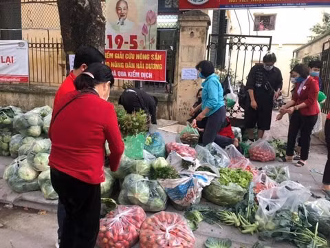 À la rescousse des produits agricoles de Hai Duong ảnh 3