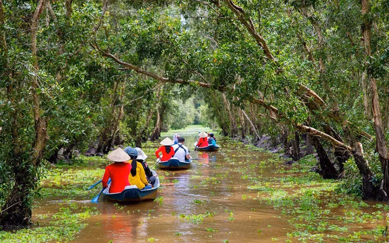 Visite printanière de la forêt de melaleuca Tra Su ảnh 2