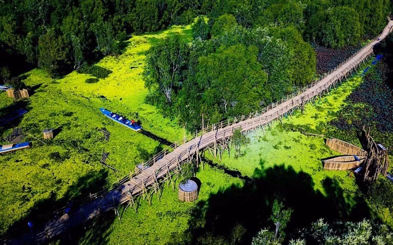 Visite printanière de la forêt de melaleuca Tra Su ảnh 1