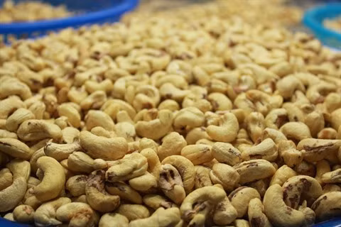 Binh Phuoc renforce la production raffinée de noix de cajou ảnh 2