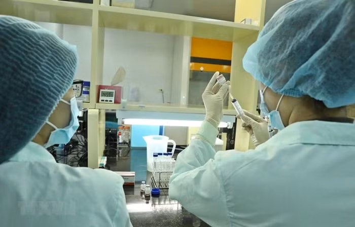 Le Vietnam s’efforce de disposer bientôt d'un vaccin anti-COVID-19 sûr et efficace ảnh 1