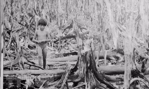 60 ans de la catastrophe de l'agent orange/dioxine au Vietnam : une guerre cruelle ảnh 1
