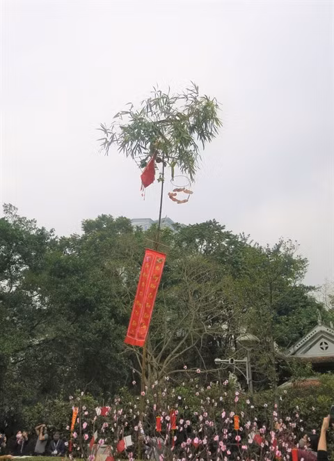 À la découverte des mœurs du Têt traditionnel ảnh 2
