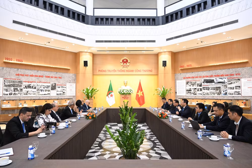 Le Vietnam et l'Algérie ont un potentiel de coopération dans des domaines ảnh 1