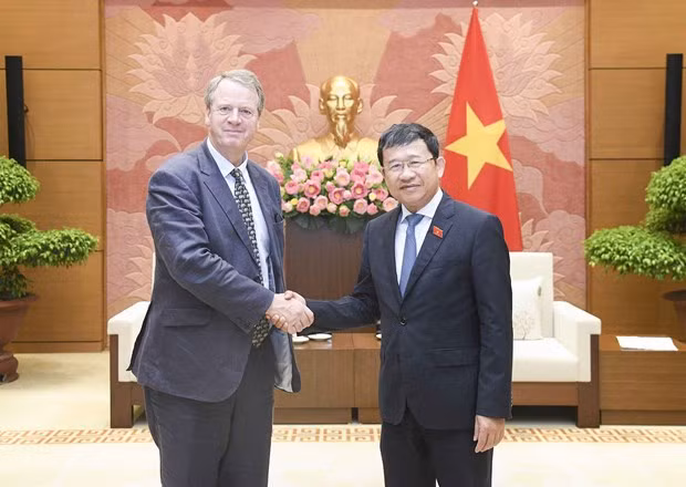 Approfondir le partenariat stratégique Vietnam-Royaume-Uni ảnh 1