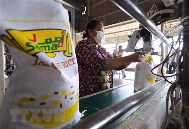 Le Vietnam deviendra un fournisseur principal de riz de l’Indonésie ảnh 1
