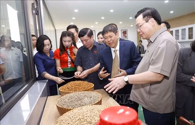 Le président de l’Assemblée nationale inaugure une usine de café à Son La ảnh 1