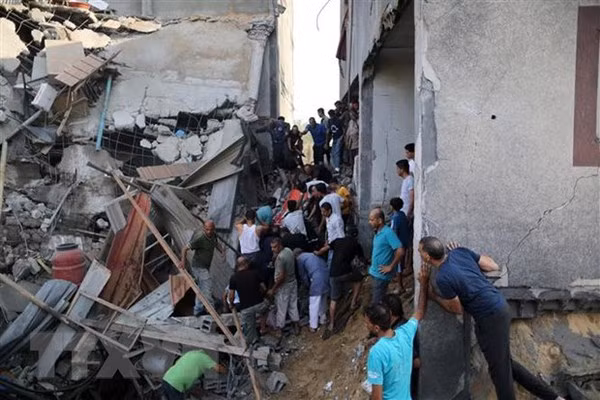 Appel au soutien des Vietnamiens en Israël ảnh 1