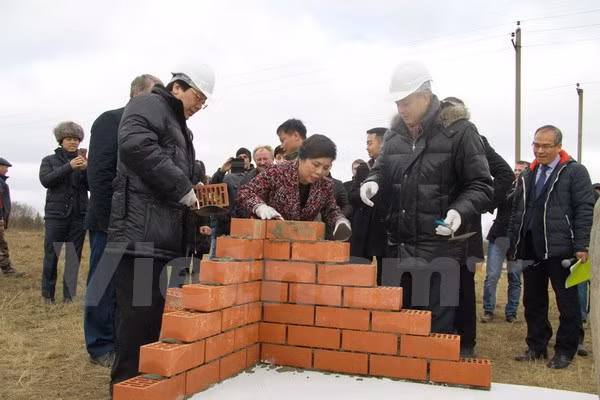 TH True Milk : mise en chantier du 2e projet de vaches laitières en Russie ảnh 1