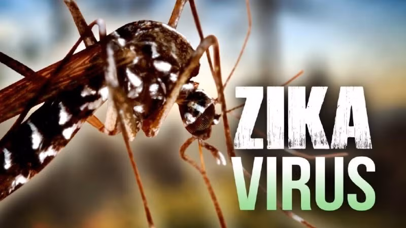 Zika: Ho Chi Minh-Ville déclare une épidémie au niveau de la commune et du quartier ảnh 1