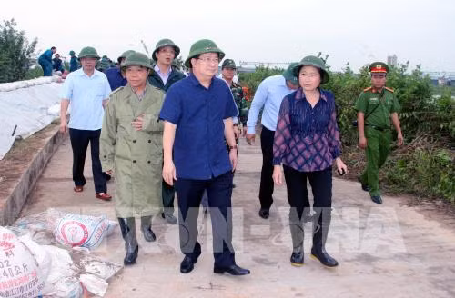 Assurer la sécurité des habitants face au typhon Sarika ảnh 1