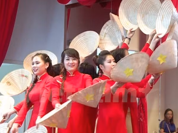 La Journée des femmes vietnamiennes célébrée au Mozambique ảnh 1