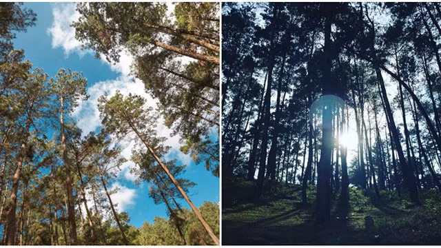 Trek d’exception à Hà Giang ảnh 2