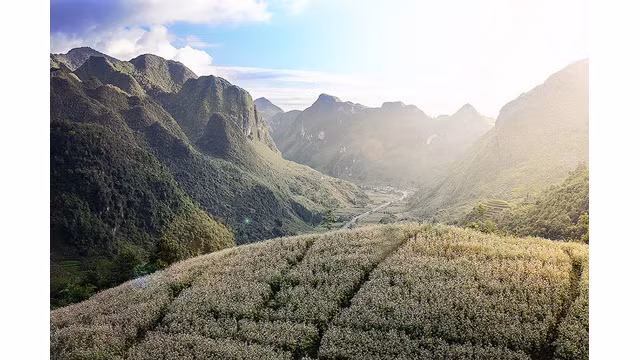 Trek d’exception à Hà Giang ảnh 7