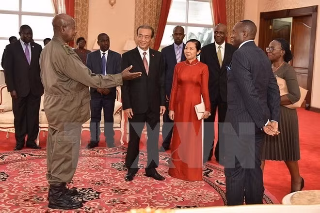 Le Vietnam et l’Afrique s’orientent vers une coopération efficace ảnh 1 Le Vietnam et l’Afrique s’orientent vers une coopération efficace ảnh 1