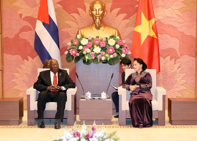 La présidente de l’AN rencontre le premier vice-président cubain ảnh 1