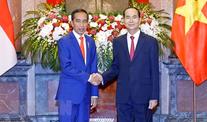 Le Vietnam et l’Indonésie publient une déclaration commune ảnh 1