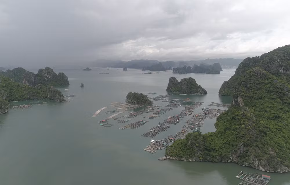 La beauté sauvage de la baie de Bai Tu Long ảnh 1