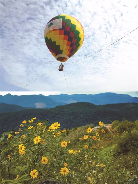 Balades aériennes au-dessus des tournesols sauvages à Ba Vi ảnh 1