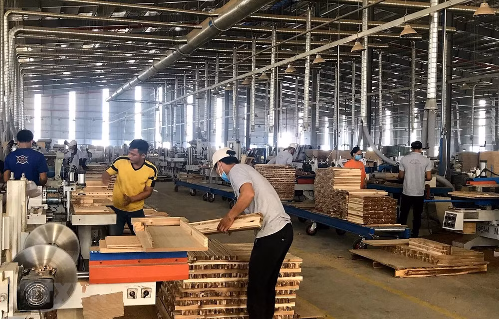 Les exportations de bois et produits dérivés en hausse de 6% en sept mois ảnh 1