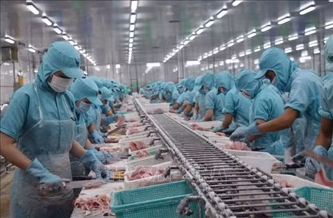 Soc Trang : la production industrielle et les exportations en forte hausse ảnh 1