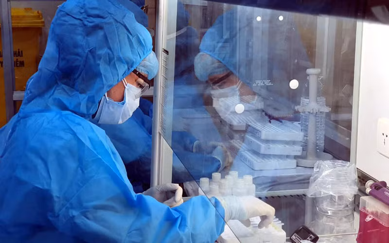 Covid-19: le Vietnam recense 371 nouveaux cas en 24 heures ảnh 1