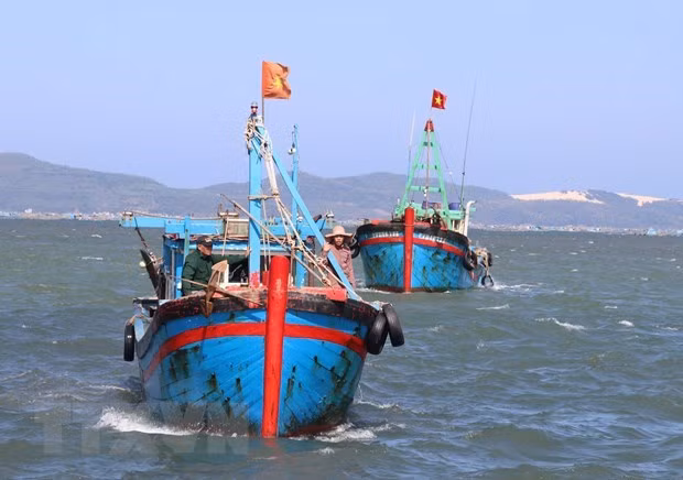 Binh Thuân veille à ses ressources halieutiques et lutte contre la pêche INN ảnh 1