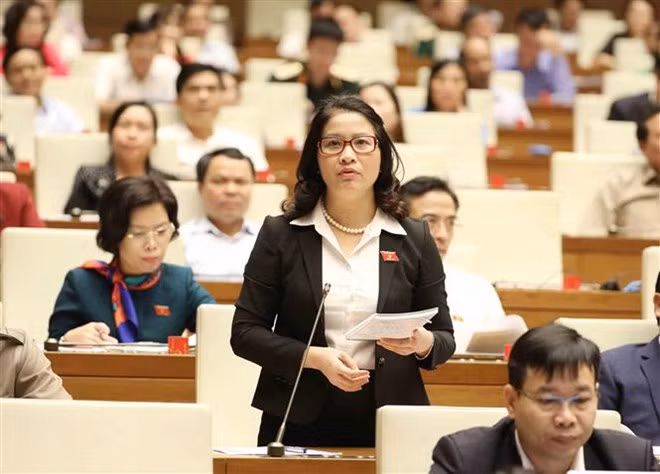 Dernier jour des interpellations de la 6e session de l'Assemblée nationale ảnh 1