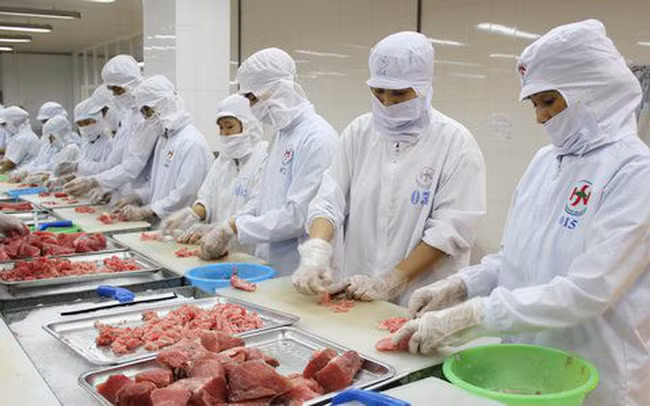 Hausse spectaculaire des exportations nationales de thon en Espagne ảnh 1