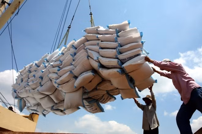 Les exportations du riz évaluées à 5,2 millions de tonnes en dix mois ảnh 1