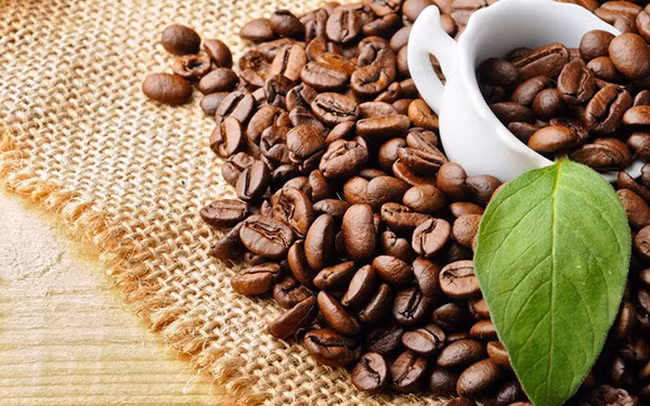 Plus de 3,5 milliards de dollars d`exportations de café vietnamien en 2018 ảnh 1 Plus de 3,5 milliards de dollars d`exportations de café vietnamien en 2018 ảnh 1