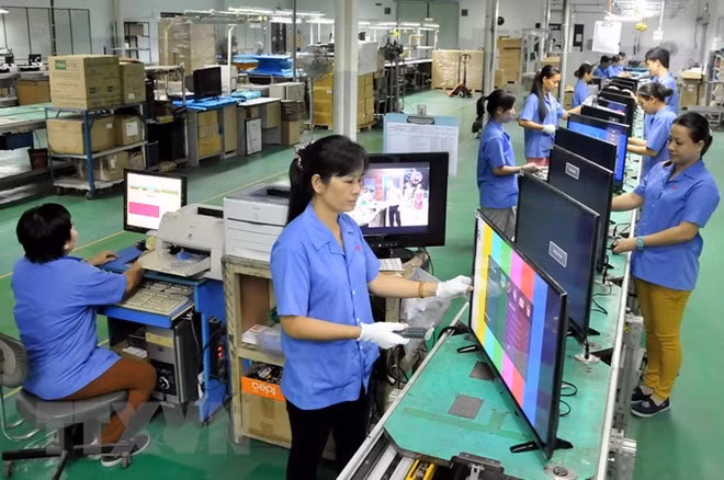 Vietnam-R. tchèque : les échanges bilatéraux ont atteint 1,172 milliard de dollars en 2018 ảnh 1