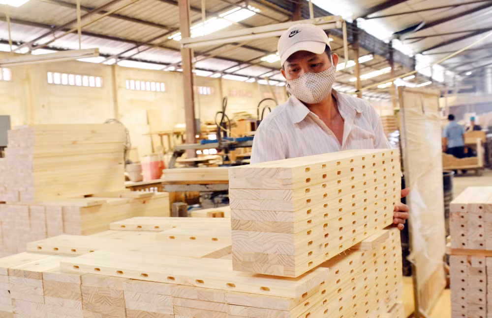 Les exportations de produits sylvicoles en hausse de 17,8% en avril ảnh 1