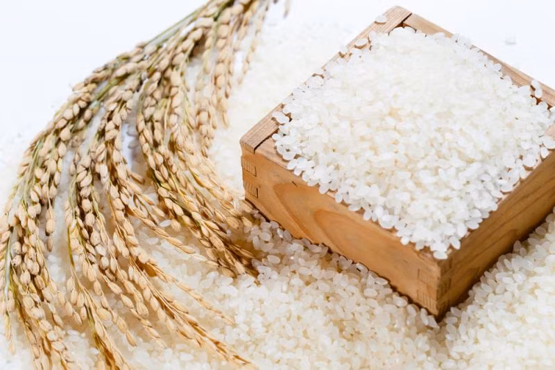Hanoï exportera du riz Japonica ảnh 1