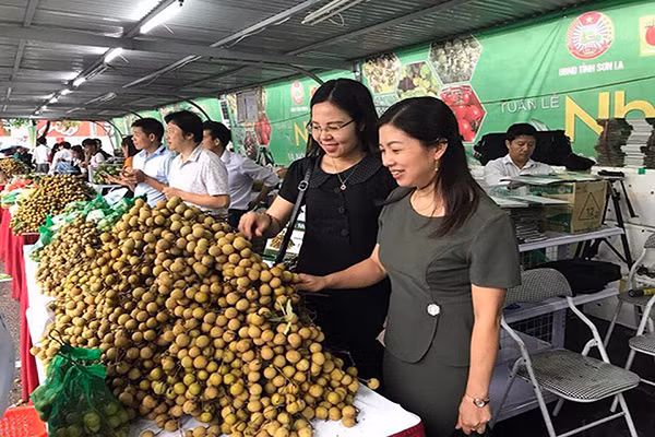 Marché australien : des perspectives prometteuses pour les entreprises vietnamiennes ảnh 1 Marché australien : des perspectives prometteuses pour les entreprises vietnamiennes ảnh 1