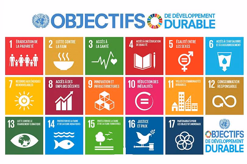 Un programme belge soutient des projets de développement du Vietnam ảnh 1 Un programme belge soutient des projets de développement du Vietnam ảnh 1