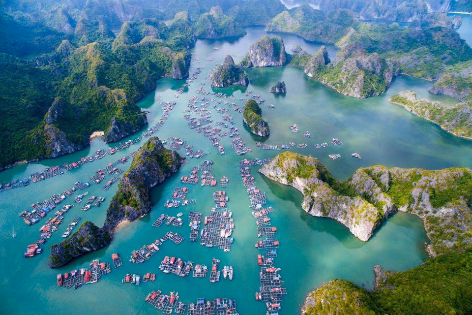 Hai Phong accueille 5,9 millions de touristes en huit mois ảnh 1 Hai Phong accueille 5,9 millions de touristes en huit mois ảnh 1
