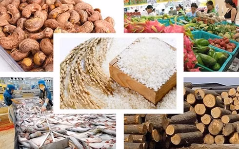 La liste de dix produits agricoles clés du Vietnam publiée ảnh 1