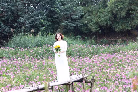 Le parc floral de Hô Tây, une destination prisée à Hanoï ảnh 2