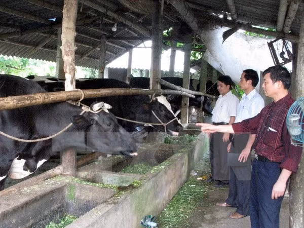 Vietnam-Belgique: la coopération Gembloux-Vietnam dans le développement rural ảnh 1 Vietnam-Belgique: la coopération Gembloux-Vietnam dans le développement rural ảnh 1