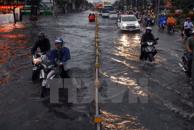 Hô Chi Minh-Ville souhaite accueillir des investisseurs néerlandais ảnh 1 Hô Chi Minh-Ville souhaite accueillir des investisseurs néerlandais ảnh 1