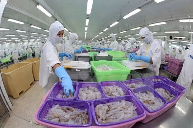 Des entreprises européennes cherchent des opportunités de coopération au Vietnam ảnh 1