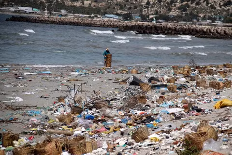Une addition salée pour l’environnement marin ảnh 2
