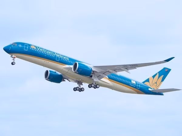 Vietnam Airlines : 2.600 milliards de dongs de bénéfices avant impôt en neuf mois ảnh 1