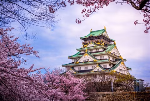 Vietjet Air: 200.000 billets à prix cassés pour le Japon, la R. de Corée et Taïwan ảnh 2 Vietjet Air: 200.000 billets à prix cassés pour le Japon, la R. de Corée et Taïwan ảnh 2