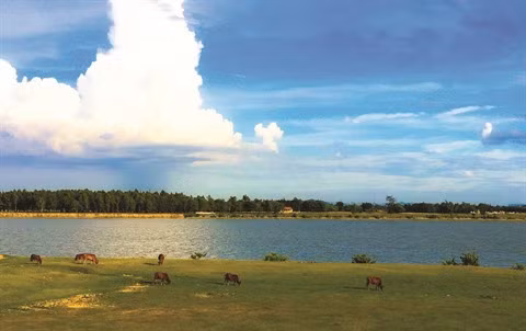 Voyages: La région du Nghê Tinh ou le pays Nghê ảnh 2