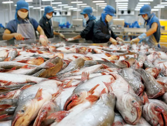 Sept mois : le pays gagne 4,63 milliards de dollars des exportations des produits aquatiques ảnh 1